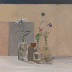 Rote weiße blaue Samenkapseln, 2008